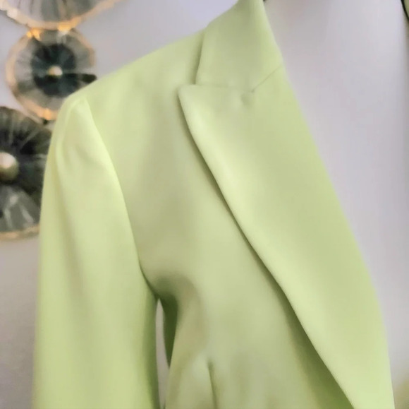 Derek Lam 10 CrosbyWilson Relaxed Blazer in Celery - Picture 5 of 12